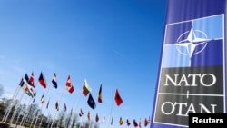 北大西洋公約組織(NATO)即將於7月9日至11日在華盛頓舉行75週年峰會，此次峰會的焦點預計放在烏克蘭總統澤連斯基(Volodymyr Zelensky)身上。