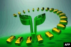 O'zbekistonda xalq jurnalistdan nima kutadi? Malohat Eshonqulova bilan suhbat