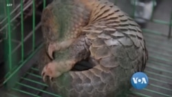 ဒီသီတင်းပတ် အာရှစီးပွားရေး