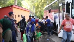 Migrants Thankful to Reach Serbia