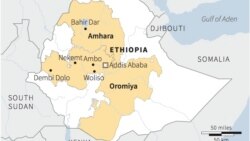 የሴቃ ሊሙ ነዋሪዎች ስለታሠሩ ሰዎች ብሦት እያሰሙ ነው