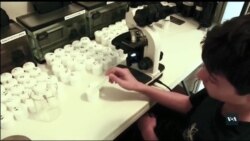 12-річний науковець шукає шляхи подолати ракові захворювання. Відео