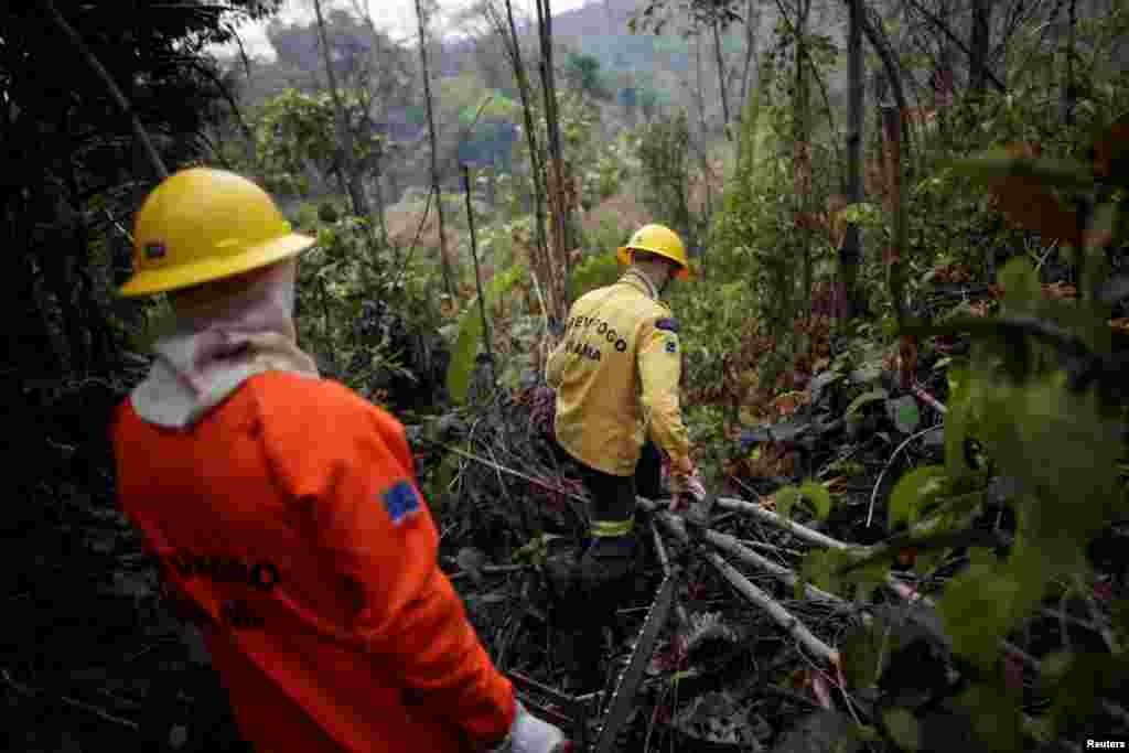برازیل کے 'انسٹی ٹیوٹ فار انوائرمنٹ اینڈ رینیوایبل نیچرل ریسورسز' کے فائر بریگیڈ کا عملہ آگ بجھانے کی کوششوں اور امدادی کاموں میں مصروف ہے۔