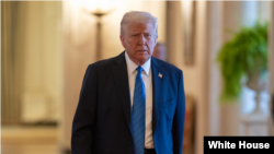 دونالد ترامپ، رئیس جمهوری آمریکا - آرشیو