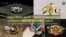 Прикраси ручної роботи від майстрів з Ужгорода знаходять клієнтів по всьому світу. Відео