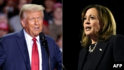 This combination of pictures shows former Republican presidential candidate Donald Trump (L) and Democratic presidential candidate Kamala Harris campaigning in November 2024. (Photo by JEFF KOWALSKY and ANDREW CABALLERO-REYNOLDS / AFP)