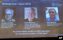 A view of the screen showing the winners of the 2015 Nobel Prize for Chemistry, during a press conference, in Stockholm, Oct. 7, 2015.