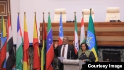 የኢትዮጵያ የሕዝብ ተወካዮች ምክር ቤት ዛሬ ጥር 22 ቀን 2017 ዓ/ም አቶ ብርሃኑ አዴሎን የኢትዮጵያ ሰብአዊ መብቶች ኮሚሽን ዋና ኮሚሽነር አድርጐ ሾሟል። ከምክር ቤቱ ገጽ የተወሰደ ፎቶ።