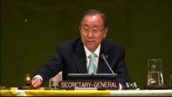 UN Climate Summit Raises Hopes for Climate Treaty