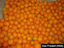Local oranges used to make Hangar 24's Orange Wheat beer in Redlands, California.