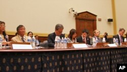 国会5月13号听证