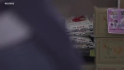 အပူဒဏ်ခံနိုင်မယ့် စပါးမျိုးကွဲသစ် ဂျပန်စမ်းသပ်အောင်မြင်
