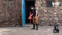 Фламінго випустили прогулятися зоопарком Денвера. Відео