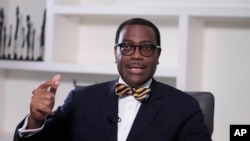 Shugaban bankin raya kasashen Afirka, Dr Akinwumi Adesina