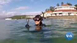 อาสาสมัครชาวออสเตรเลียร่วมดำน้ำเก็บหลอดพลาสติกใต้ทะเล