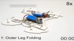 ชมหุ่นยนต์ประกอบตัวเองโดยใช้หลักการพับนกกระดาษ