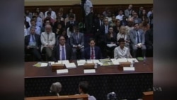 US Hearing Yields Scathing Remarks About Ebola Response