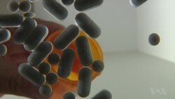 US Launches War Against Opioid And Heroin Addiction