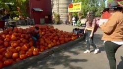 Մերիլենդի ֆերմաներից մեկում աշնան տոնակատարության զարդը դդումներն են