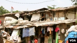 The makeshift wood and corrugated iron shacks where Jakarta mother Santi lives with her three children, Jakarta, Indonesia, March 2, 2013. (K. Lamb/VOA)