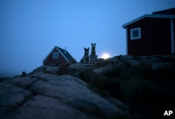 Dogs sit outside a home in Kulusuk, Greenland, early Thursday, Aug. 15, 2019. Greenland has been melting faster in the last decade and this summer, it has seen two of the biggest melts on record since 2012. (AP Photo/Felipe Dana)