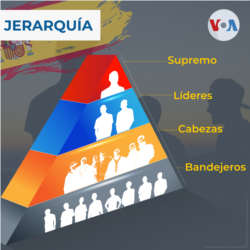 Jerarquías de las bandas en España.