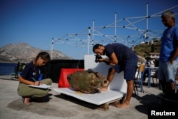 Student of the Department of Conservation of Antiquities and Works of Art Giorgos Agavanakis, 24, takes pictures as fellow student Eirini Mitsi, 23, takes notes on an amphora retrieved from a shipwreck site on the island of Fournoi, Greece, September 20,