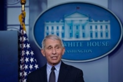 Anthony Fauci