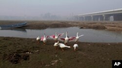 زرتاج گل کا کہنا ہے کہ زیر زمین پانی کی سطح مسلسل کم ہو رہی ہے جو کہ 1200 فٹ تک پہنچ چکی ہے۔ (فائل فوٹو)