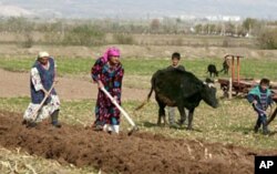 Qishloq xo'jaligiga asoslangan Markaziy Osiyo davlatlarida suv taqsimoti nozik masala, ayniqsa O'zbekiston va Tojikiston orasidagi kelishmovchilik keyingi yillarda yanada keskinlashgan. Tojikistonning yirik GES qurish rejasi O'zbekiston nazarida nafaqat u