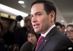 Senador estadounidense Marco Rubio, republicano por Florida.