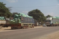 រថយន្ត​ដឹកស្រូវ ចត​នៅ​តាម​បណ្តោយ​ផ្លូវជាតិ​លេខ៥ ក្នុង​ខេត្តពោធិ៍សាត់ កាលពី​ថ្ងៃទី១៥ ខែធ្នូ ឆ្នាំ២០២១។ (ស៊ុន ណារិន/វីអូអេ)