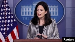 资料照片：美国白宫负责网络和新兴技术的副国家安全顾问安妮·纽伯格。