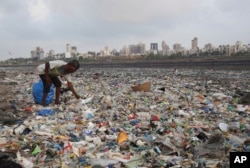 FILE- In this June 4, 2018, photo, a man collects plastic and other recyclable material from the shores of the Arabian Sea, littered with plastic bags and other garbage, in Mumbai, India. (AP Photo/Rafiq Maqbool, File)