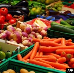 Dehqonchilikni ma'qul ko'rayotgan yosh amerikaliklar