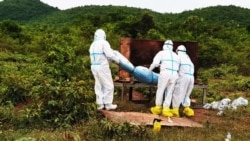 រូប​ឯកសារ៖ ភ្នាក់ងារសុខាភិបាលចាត់ចែងបូជាសាកសពអ្នកជំងឺកូវីដ១៩ម្នាក់នៅស្រុកកំពង់ត្រាច ខេត្តកំពត កាល​ពី​ខែមិថុនា ឆ្នាំ២០២១។ (រូបថត៖ ហ្វេសប៊ុក​ស្នងការដ្ឋាននគរបាលខេត្តកំពត)