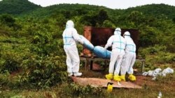 រូបឯកសារ៖ ភ្នាក់ងារសុខាភិបាលចាត់ចែងបូជាសាកសពអ្នកជំងឺកូវីដ១៩ម្នាក់នៅស្រុកកំពង់ត្រាច ខេត្តកំពត កាល​ពី​ខែមិថុនា ឆ្នាំ២០២១។ (រូបថត៖ ហ្វេសប៊ុក​ស្នងការដ្ឋាននគរបាលខេត្តកំពត)