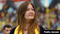 د.ڤیان سەبری سەرۆکی فڕاکسیۆنی پارتی لەپەرلەمانی عیراق