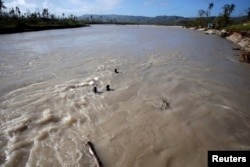 Three men pull a trunk stuck under a bridge after the passage of Hurricane Matthew in Chantal, Haiti, Oct. 7, 2016.