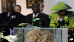 Des crânes d'Ovaherero et de Nama sont exposés lors d'une dévotion à laquelle assistent des représentants des tribus de Namibie à Berlin, en Allemagne, le 29 septembre 2011.