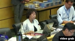 聯合國反歧視委員會成員麥克杜格爾