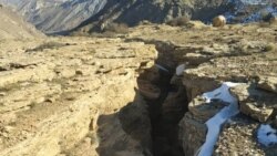 یک ترک بزرگ کوهستانی در محدوده آب اسک در جاده هراز