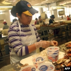 Choychilar Amerikaga immigrantlar oqimini cheklash kerak deydi