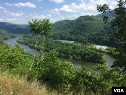 The unique flora and fauna of West Virginia help create clean, richly flavored honey. (J.Taboh/VOA)