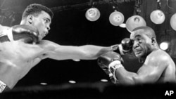 ফাইল - মোহাম্মদ আলী এবং সনি লিস্টনের ঐতিহাসিক ম্যাচ। ২৫ ফেব্রুয়ারি, ১৯৬৪। ফ্লোরিডা।