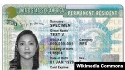 ARCHIVO - Muestra de una Tarjeta de Residente Permanente, también conocida como Green Card o Tarjeta Verde, expedida por el Servicio de Ciudadanía e Inmigración de Estados Unidos (USCIS en inglés). 