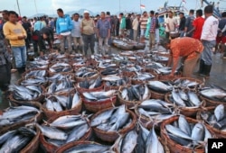 FILE - A fisherman arranges baskets of freshly-caught fish for customers to choose from at Lampulo fishing port in the provincial capital Banda Aceh, Aceh, Indonesia, Dec. 24, 2015.