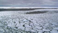 his January 2017 photo provided by Ted Scambos shows sea ice on the ocean surrounding Antarctica during an expedition to the Ross Sea.
