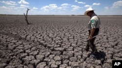 In this Aug 3, 2011 file photo, Texas State Park police officer Thomas Bigham walks across the cracked lake bed of O.C. Fisher Lake, in San Angelo, Texas. (AP Photo/Tony Gutierrez, File)