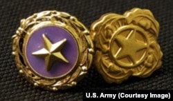 Gold Star lapel button